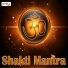 Suresh Wadkar