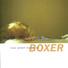 Boxer