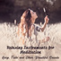 Mindfulness Meditation Music Spa Maestro