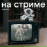 На стриме