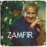 Gheorghe Zamfir