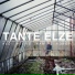 Tante Elze
