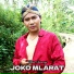 Jithul Sumarji