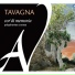 Tavagna