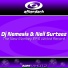 DJ Nemesis, Neil Surteez