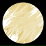 Dold
