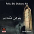 Zainab Batool feat. Ali Haider Raza