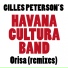 Atjazz, Gilles Peterson's Havana Cultura Band