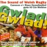 Undeb Rygbi Cymru Welsh Rygbu Union