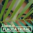 Flauta de Pan