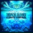 Tropical Bleyage