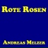 Andreas Melzer