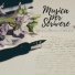 Scrivere Zen