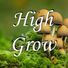 SmallShroom