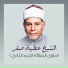 الشيخ عطية صقر