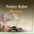 Nadam Sultan