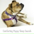 Sleepy Dog Zone