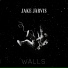 Jake Jarvis