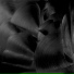 Piero Chianura feat. Maurizio Marsico