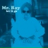 Mr. Ray