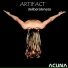 Artifact