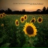 Simthandile, Dave Audinary