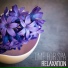 Relaxing Music Therapy