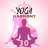 Yoga Harmony Maestro