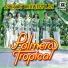 Palmera Tropical