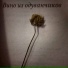 Otem Metaform