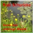 Rudi Schuricke
