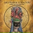 The Strange Attractors