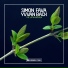 Simon Fava, Yvvan Back