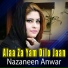Nazaneen Anwar
