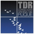 TDR