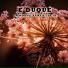 E Duque feat. Elisa Duwez feat. Elisa Duwez