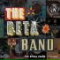 The Beta Band