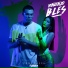Vincenzo Bles