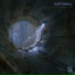 Gotshell