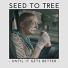 Seed To Tree