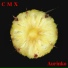 CMX