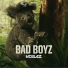 Koalaz