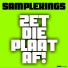 Samplekings