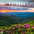 Rocboss