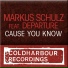 Markus Schulz feat. Departure