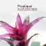 Chillout Music Ensemble