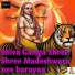 L.N. Shastry