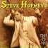 Steve Hofmeyr