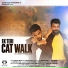 Dheeraj Mattoo, Mattoo Saab