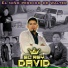 El Rey David